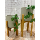 Suporte Legs para Vaso Cachepot em Madeira Pinus 55cm /40cm com Vaso de Plantas