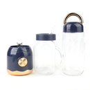 Mini Juicer Liquidificador Portátil Copo Caneca 500ml e 450ml Com 10 Lâminas, Tampa, Canudo e Copo